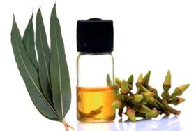 Huile d'eucalyptus pour le traitement de l'onychomycose