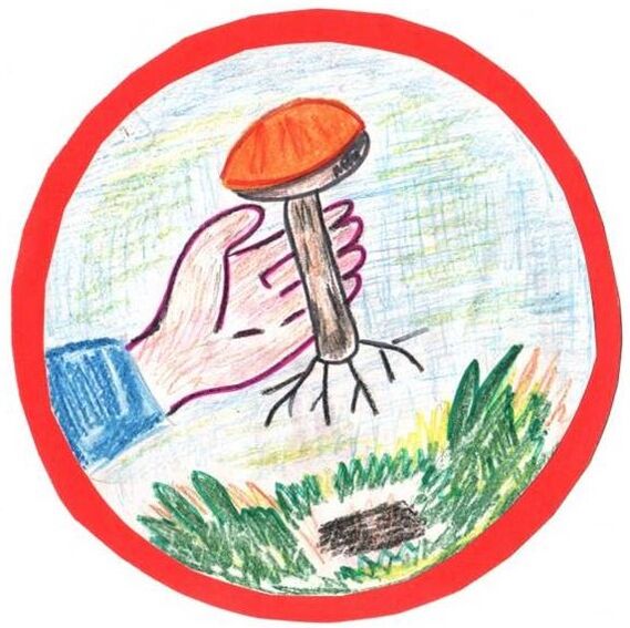 Éliminer le champignon